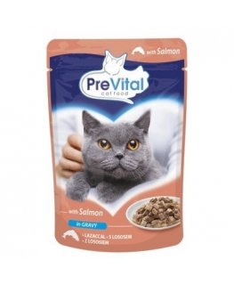 PREVITAL Salmon in gravy - wet cat food - 100g