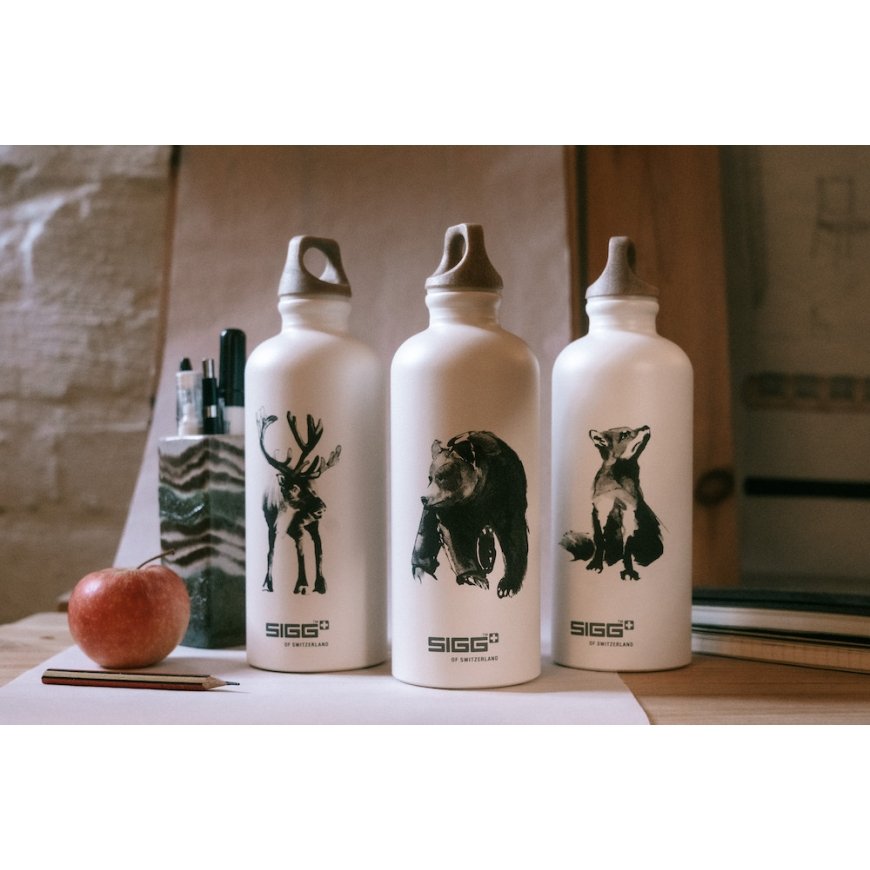 SIGG x TJ Kettu -gėrimo butelis 0,6 l – 4