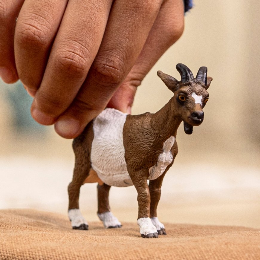 schleich FARM WORLD 14887 rotaļu figūriņa/varonis – 2