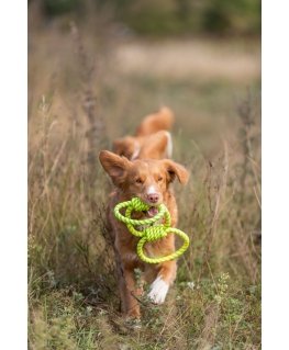 TRIXIE 33663 dog/cat toy