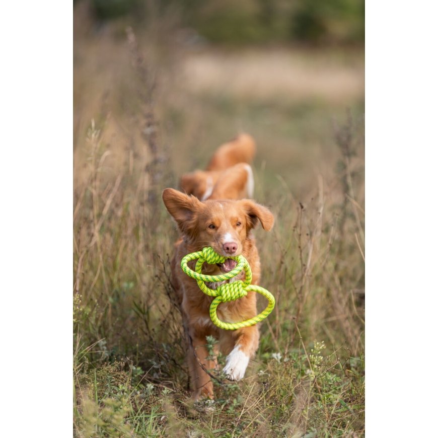 TRIXIE 33663 koiran ja kissan lelu