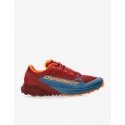 Running shoes Dynafit Ultra 50 - mallard blue/syrah Running shoes Dynafit Ultra 50 - mallard blue/syrah