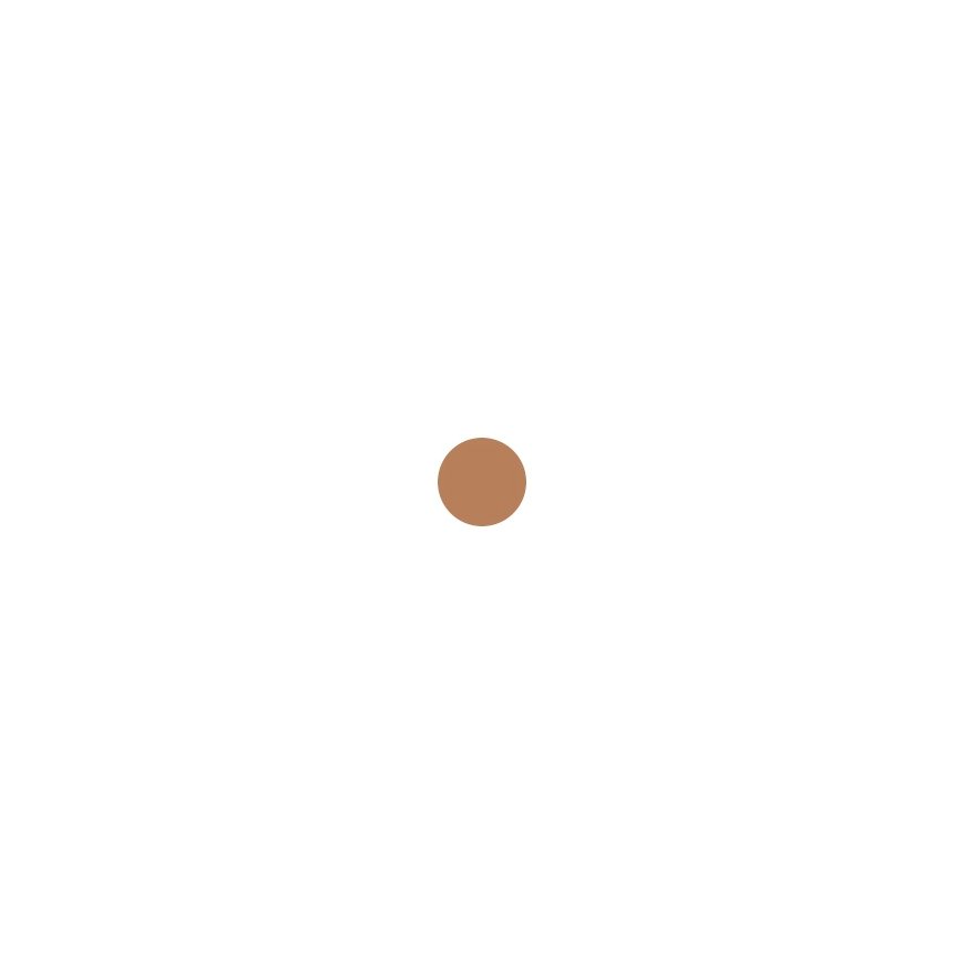 Sensai Silky Bronze puuteri 9 ml 8,5 g SC04 – 2