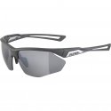 Alpina Nylos HR Saulesbrilles cat. 3 Pelēkas Alpina Nylos HR Saulesbrilles cat. 3 Pelēkas