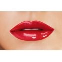 PUPA Milano Made To Last Lip Duo 4 ml 006 Fire Red Сияние PUPA Milano Made To Last Lip Duo 4 ml 006 Fire Red Сияние
