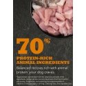 Acana Puppy Large Breed Recipe 17 kg Apple, Chicken, Pear, Poultry, Pumpkin Acana Puppy Large Breed Recipe 17 kg Apple, Chicken, Pear, Poultry, Pumpkin