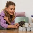 schleich ELDRADOR CREATURES 70157 lasten leluhahmo schleich ELDRADOR CREATURES 70157 lasten leluhahmo