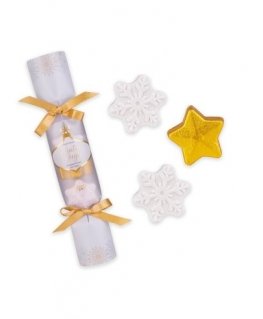 Winter Magic Frosted Vanilla Snowflakes & Stars Bath Fizzer - Dá