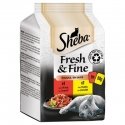 Sheba Fresh & Fine Mini Meat Dishes in Sauce 6 x 50g