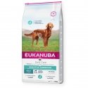 Eukanuba 8710255172149 koiran kuivamuona 12 kg Aikuinen