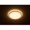 Philips Laevalgusti Wawel, 17 W Philips Laevalgusti Wawel, 17 W