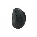 Conceptronic LORCAN03B hiir Kontor Parempoolne Bluetooth Optiline 1600 DPI Conceptronic LORCAN03B hiir Kontor Parempoolne Bluetooth Optiline 1600 DPI