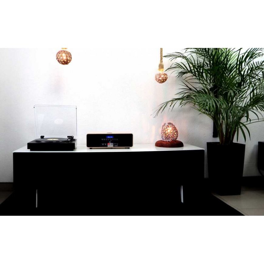Stereo set / Digital mini music center with turntable THOMSON TT350 & MIC202 – 3