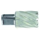Tivoly Metalo gręžimo freza Ø24X60X30 mm HSS, tvirtinimas Ø19 mm, Weldon Tivoly Metalo gręžimo freza Ø24X60X30 mm HSS, tvirtinimas Ø19 mm, Weldon