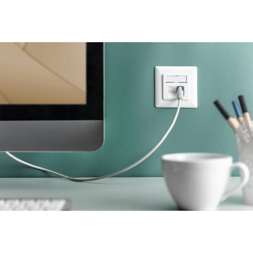 Digitus DN-9007-1 розетка 2 x RJ-45 Белый – 2