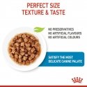 Royal Canin X-Small Puppy Liha Täiskasvanu 85 g Royal Canin X-Small Puppy Liha Täiskasvanu 85 g