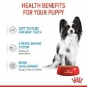Royal Canin X-Small Puppy Gaļa Pieaudzis suns 85 g Royal Canin X-Small Puppy Gaļa Pieaudzis suns 85 g