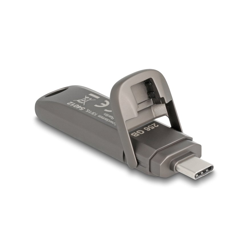 DeLOCK 54012 USB флеш накопитель 256 GB USB Type-C Серый