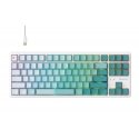Havit KB901L (White and green) klaviatuur Mängimine USB QWERTY Roheline, Valge Havit KB901L (White and green) klaviatuur Mängimine USB QWERTY Roheline, Valge