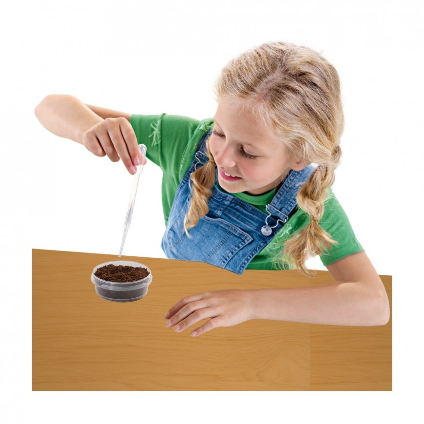 SES Creative Explore Treehouse garden – 3
