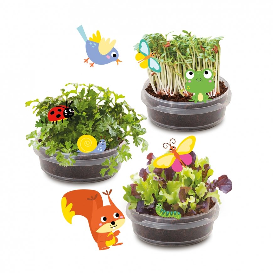 SES Creative Explore Treehouse garden – 4