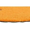 SPECIALIST+ diamond grinding sheet, universal, 125 mm, 200P SPECIALIST+ diamond grinding sheet, universal, 125 mm, 200P