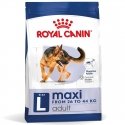 Royal Canin SHN Maxi Aikuiset 4kg