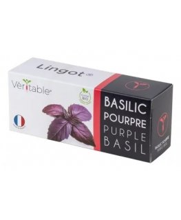 Véritable 3760262511146 stādu diedzēšanas komplekts un papildinājums Baziliks Uzpildāms