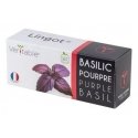 Véritable 3760262511146 growing kit/refill Basil Véritable 3760262511146 growing kit/refill Basil