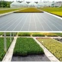 Primegarden Легкий Трайк Нуматитасис