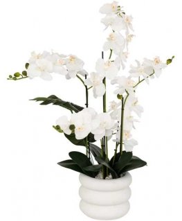 Atmosphera Keinotekoinen orkidea MICK keraamisessa ruukussa, 80 cm