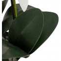 Atmosphera Artificial orchid MICK in ceramic pot, 80 cm Atmosphera Artificial orchid MICK in ceramic pot, 80 cm