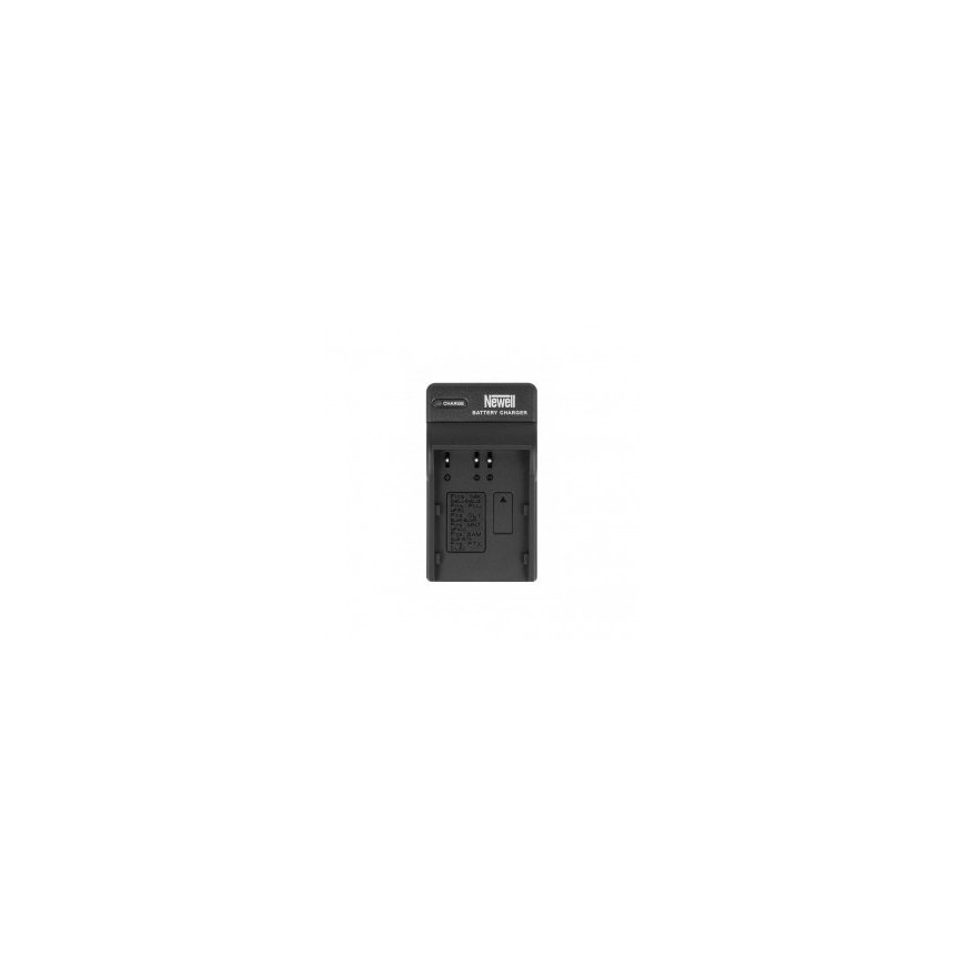 Зарядное устройство Newell DC-USB для EN-EL20