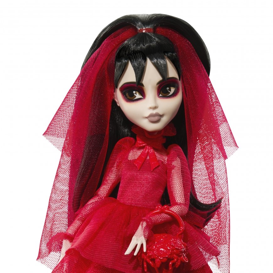 Monster High HYV96 lėlė – 4