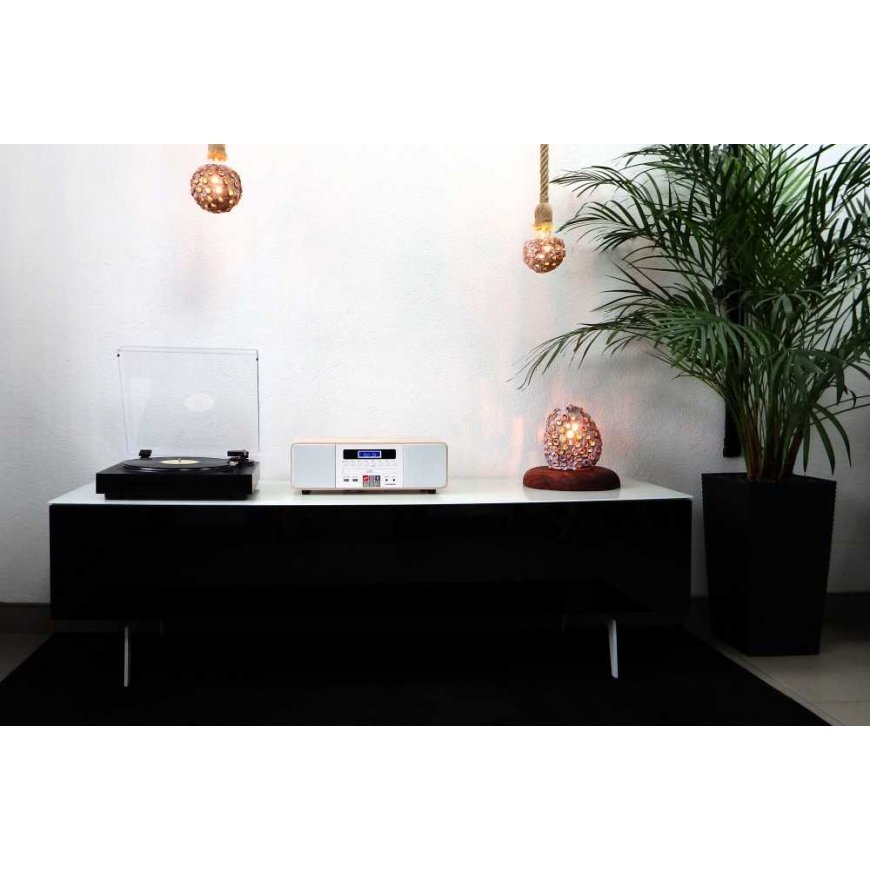 Stereo player / digital mini HiFi system with turntable THOMSON TT350 and MIC201 – 3