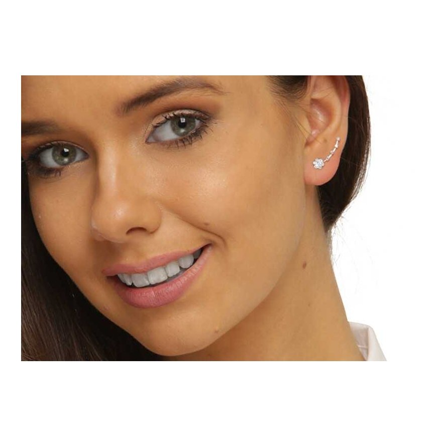 Jwl Luxury Pearls Gēlētie izliektie auskari ar kristāliem JL0722 – 5