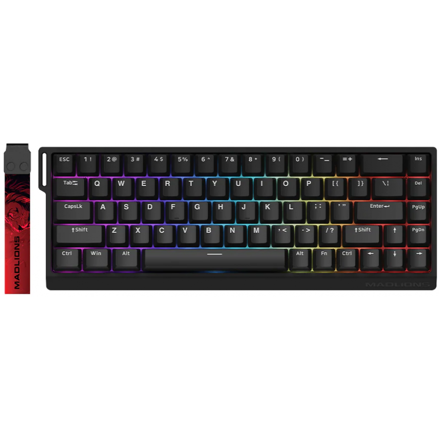 Fierce Gaming Gear (FGG) Madlions Fierce