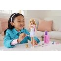 Barbie Dreamhouse Adventures Barbie-nukke ja tarvikkeita Barbie Dreamhouse Adventures Barbie-nukke ja tarvikkeita