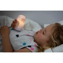Olala Boutique 3 LED gultas lampu komplekts „Olala“ - pūce, viegls ceļš Olala Boutique 3 LED gultas lampu komplekts „Olala“ - pūce, viegls ceļš