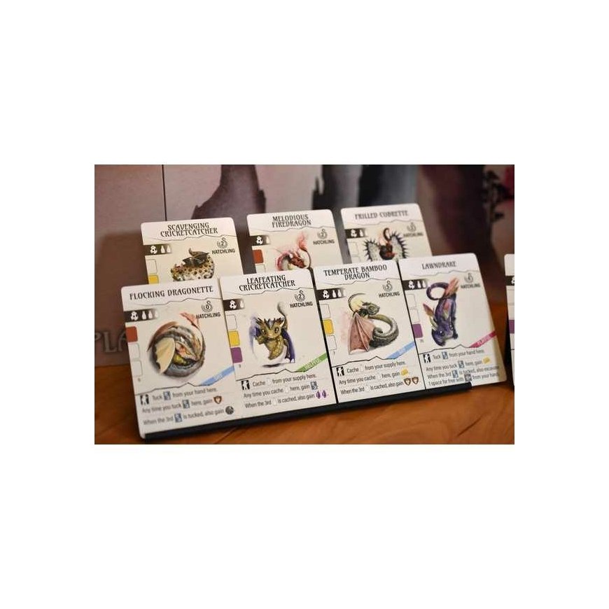 Asmodee STM850 galda spēle 90 min – 3