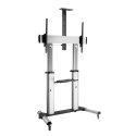 Techly ICA-TR24 TV stovas / baldas garso ir vaizdo aparatūrai 1 spintos Techly ICA-TR24 TV stovas / baldas garso ir vaizdo aparatūrai 1 spintos