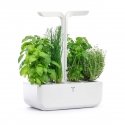 Veritable Véritable CLASSIC - Automatic flower pot, white Veritable Véritable CLASSIC - Automatic flower pot, white