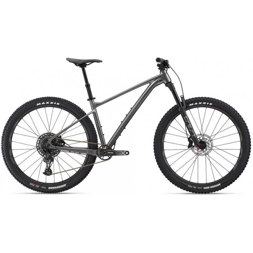 Giant Kalnu velosipēds Giant Fathom 29