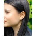 Сияющие серебряные серьги в форме сердечка AGT-E206PW Сияющие серебряные серьги в форме сердечка AGT-E206PW