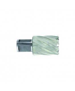 Tivoly Metalo puurefreza Ø35X60X30 mm HSS, kinnitamine Ø19 mm, Weldon