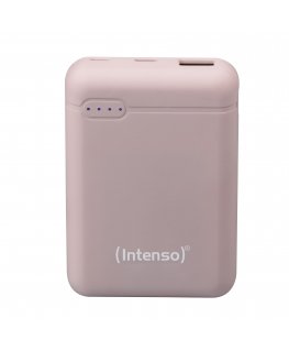 Intenso XS10000 Liitiumpolümeer (LiPo) 10000 mAh Roos