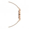 Kello naisille DANIEL WELLINGTON DW00100472 - PETITE UNITONE 36mm (zw511a) Kello naisille DANIEL WELLINGTON DW00100472 - PETITE UNITONE 36mm (zw511a)