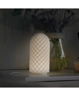 BambuLab Bambu Lab LED lamp set 001