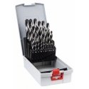 Bosch 2 608 577 352 grąžto antgalis Spiralinis grąžtas 25 vnt Bosch 2 608 577 352 grąžto antgalis Spiralinis grąžtas 25 vnt