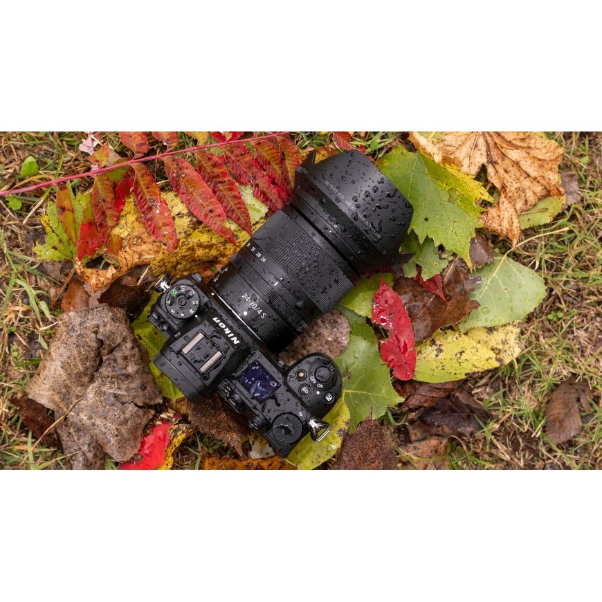 Nikon Z6 III + Z 24-70mm f/4 S – 2